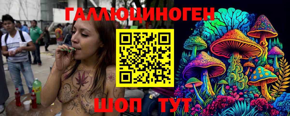 хочу наркоту  Галлюциногенные грибы Cubensis  Вход с VPN  Северск 