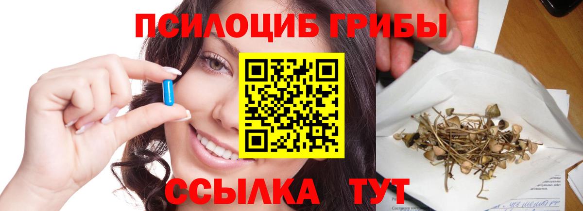 Псилоцибиновые грибы мухоморы Северск